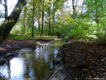 Abraham Ledeboerpark